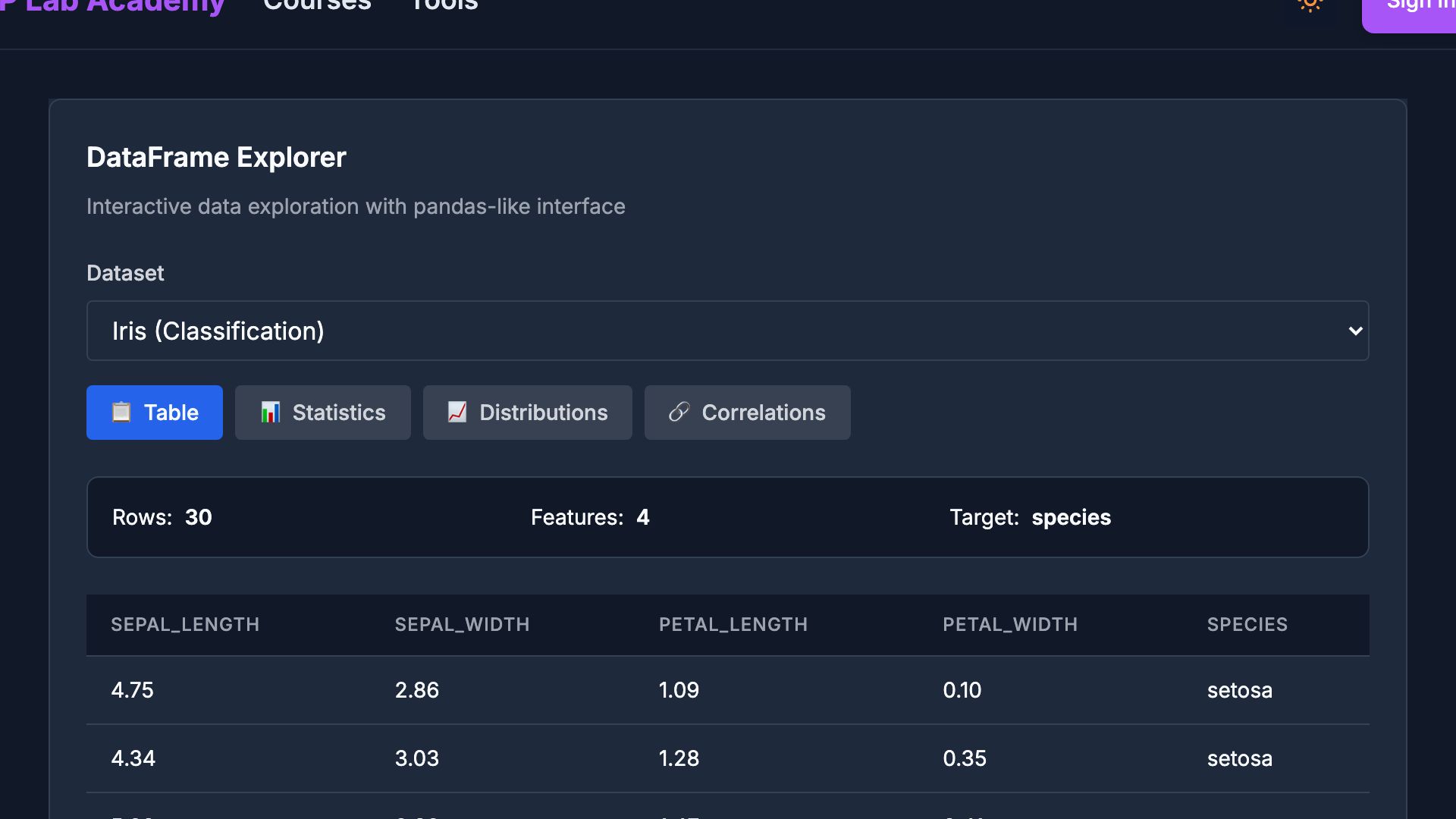 Preview of DataFrame Explorer